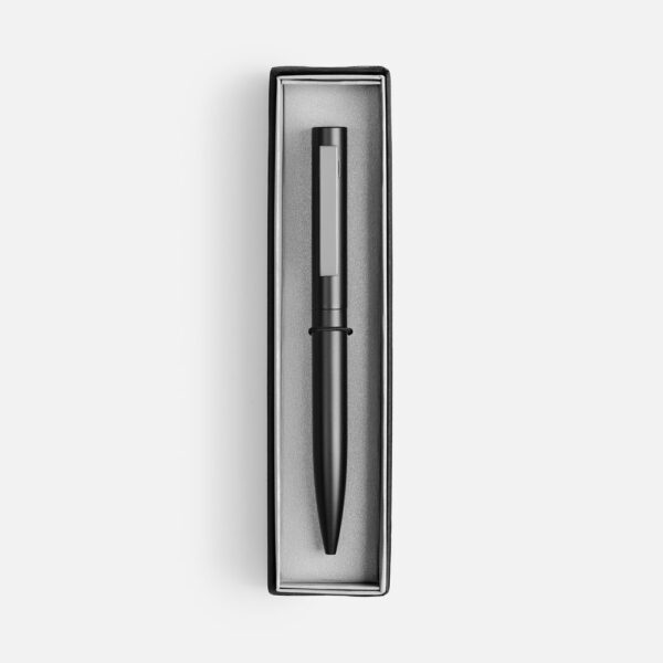 Ручка шариковая Inkolor в футляре, черная с серым