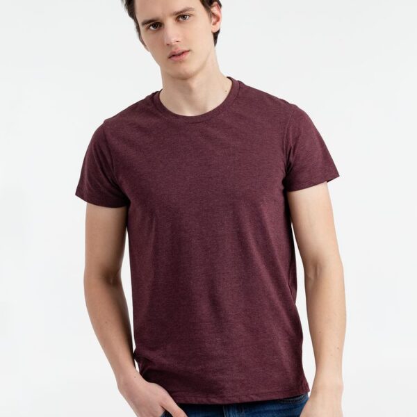 Футболка мужская Regent Fit 150, бордовый меланж