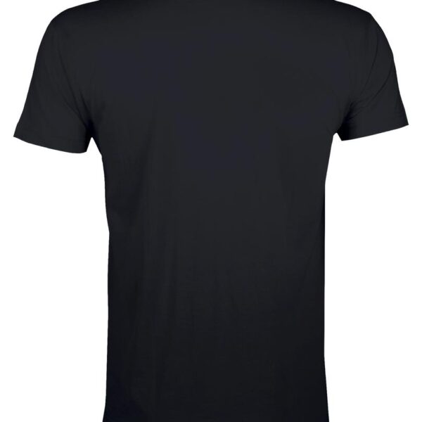 Футболка мужская Regent Fit 150, черная