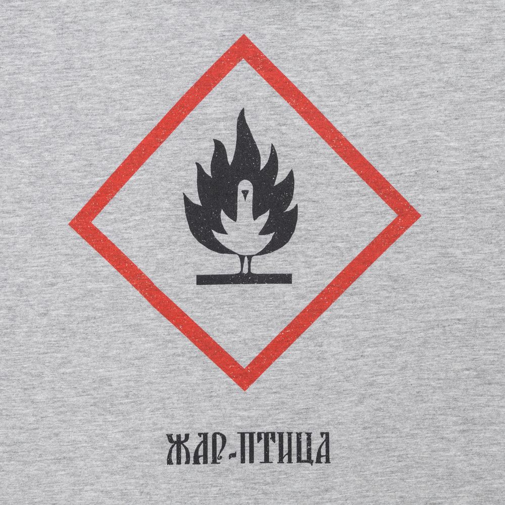Футболка «Жар-птица», серый меланж — изображение 3